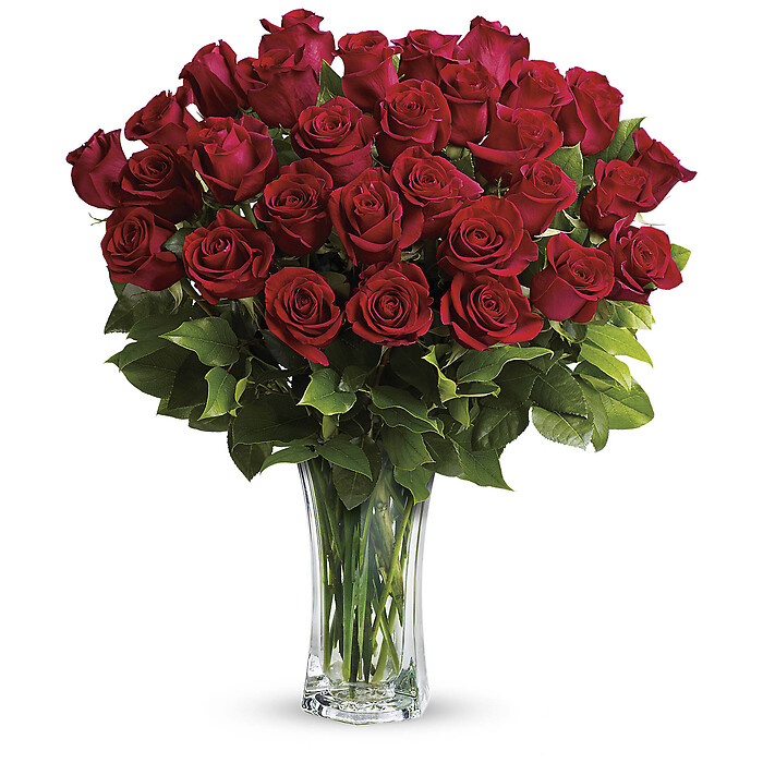 Love and Devotion - Long Stemmed Red Roses