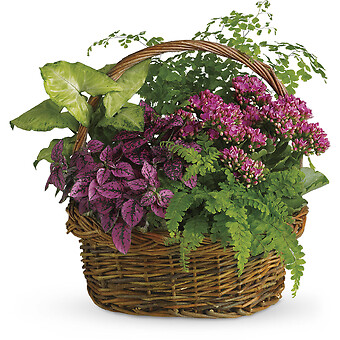 Secret Garden Basket