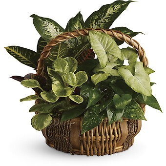 Emerald Garden Basket