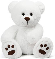 White Plush Teddy Bear