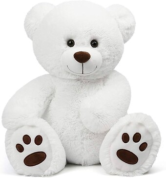 White Plush Teddy Bear